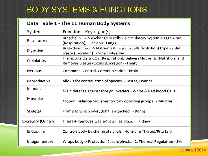 BODY SYSTEMS & FUNCTIONS schmied 2014 
