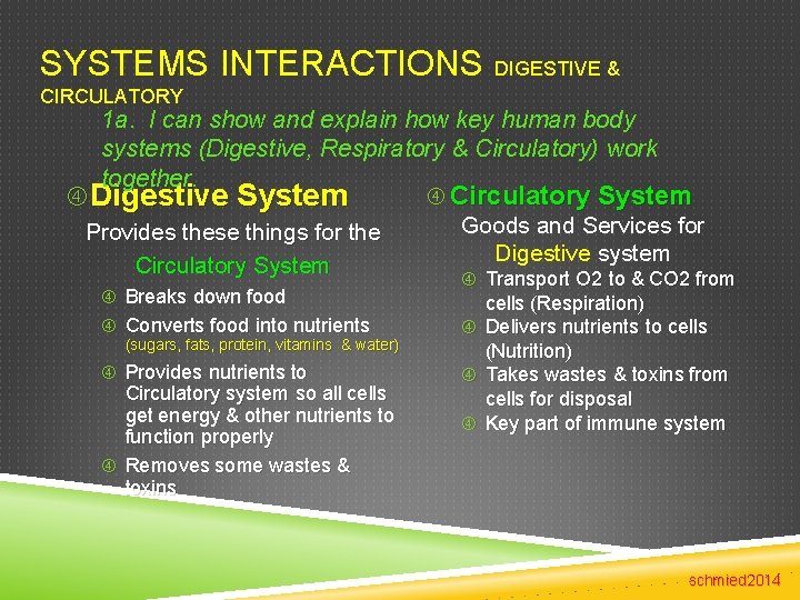 SYSTEMS INTERACTIONS DIGESTIVE & CIRCULATORY 1 a. I can show and explain how key