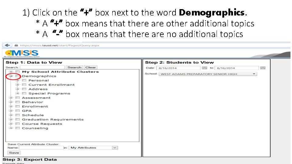 1) Click on the “+” box next to the word Demographics. * A “+”