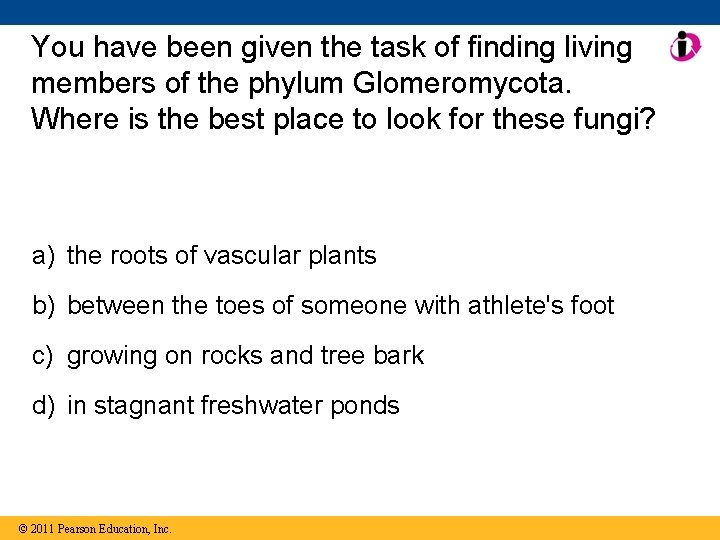 You have been given the task of finding living members of the phylum Glomeromycota.