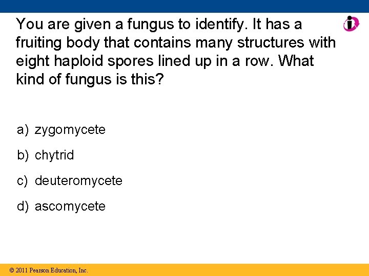 You are given a fungus to identify. It has a fruiting body that contains
