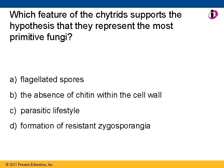 Which feature of the chytrids supports the hypothesis that they represent the most primitive
