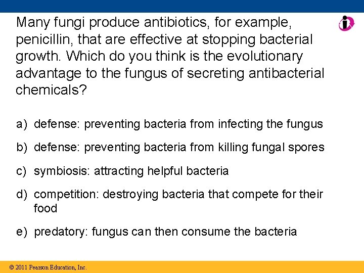 Many fungi produce antibiotics, for example, penicillin, that are effective at stopping bacterial growth.