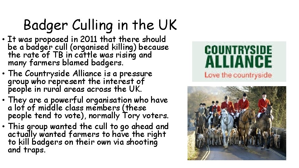 Badger Culling in the UK • It was proposed in 2011 that there should