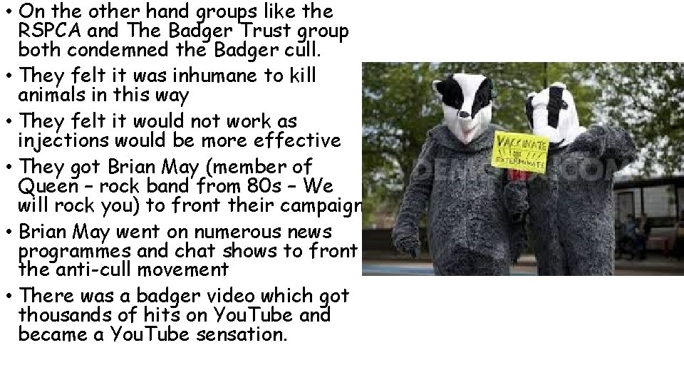  • On the other hand groups like the RSPCA and The Badger Trust