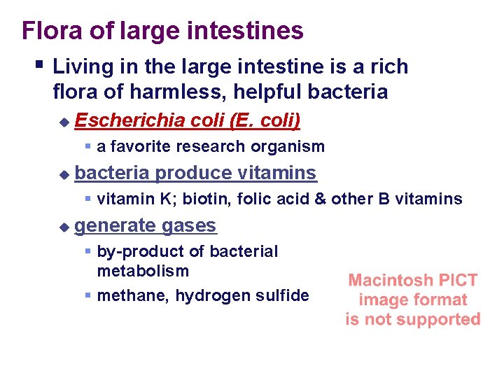 Flora of large intestines § Living in the large intestine is a rich flora