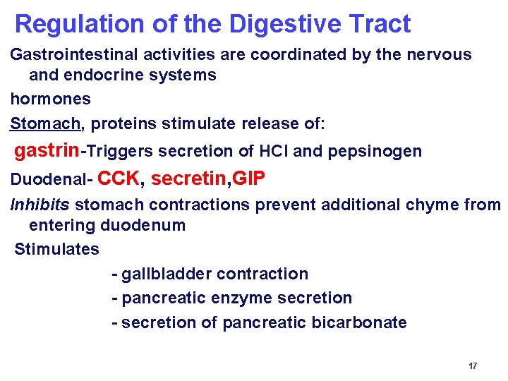 Regulation of the Digestive Tract Gastrointestinal activities are coordinated by the nervous and endocrine