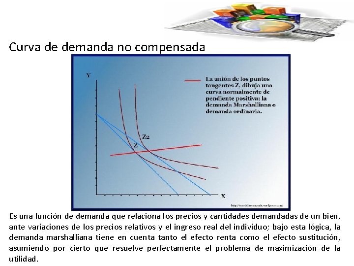 Curva de demanda no compensada Es una función de demanda que relaciona los precios