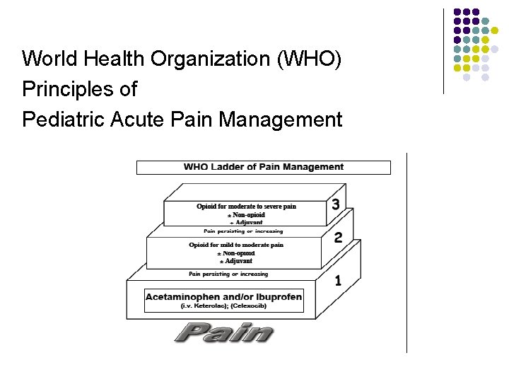 World Health Organization (WHO) Principles of Pediatric Acute Pain Management 