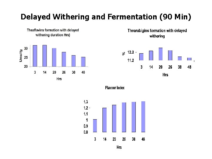 Delayed Withering and Fermentation (90 Min) Delayed Withering and Fermentation (90 Min)