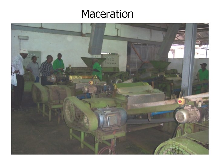 Maceration Maceration