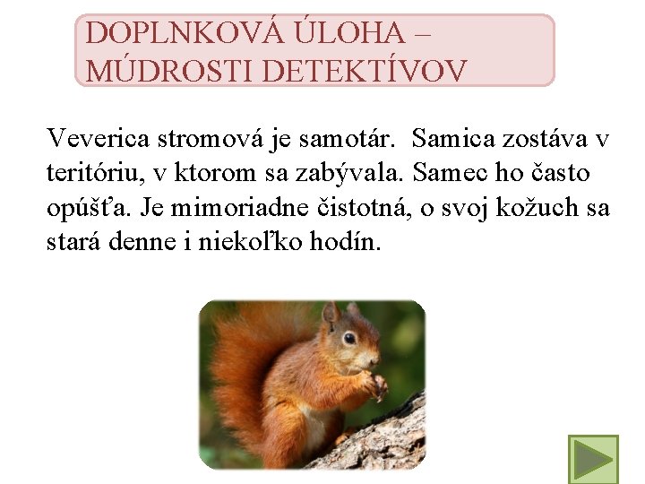 DOPLNKOVÁ ÚLOHA – MÚDROSTI DETEKTÍVOV Veverica stromová je samotár. Samica zostáva v teritóriu, v