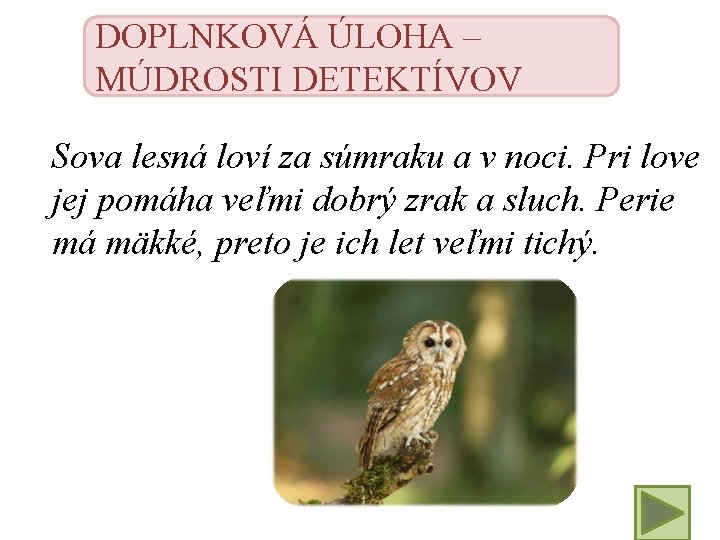 DOPLNKOVÁ ÚLOHA – MÚDROSTI DETEKTÍVOV Sova lesná loví za súmraku a v noci. Pri