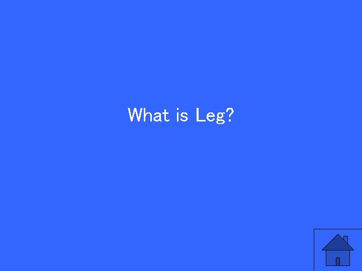 What is Leg? 