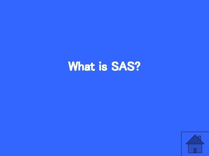 What is SAS? 