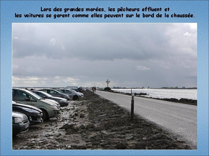 Lors des grandes marées, les pêcheurs affluent et les voitures se garent comme elles