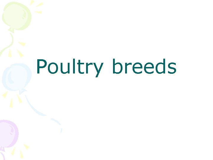 Poultry breeds 