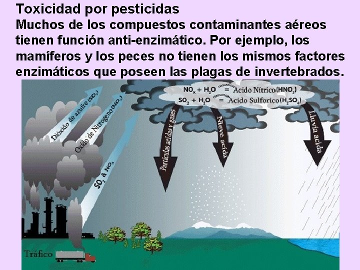 Toxicidad por pesticidas Muchos de los compuestos contaminantes aéreos tienen función anti-enzimático. Por ejemplo,