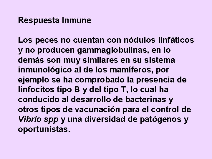 Respuesta Inmune Los peces no cuentan con nódulos linfáticos y no producen gammaglobulinas, en