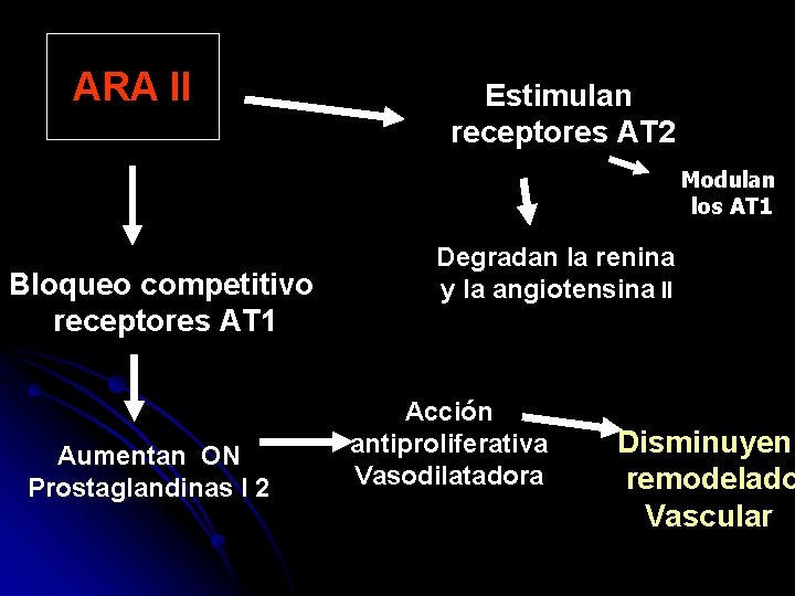 ARA II Estimulan receptores AT 2 Modulan los AT 1 Bloqueo competitivo receptores AT