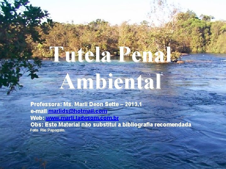 Tutela Penal TUTELA e RESPONSABILIDADE PENAL Ambiental Professora: Ms. Marli Deon Sette – 2013.