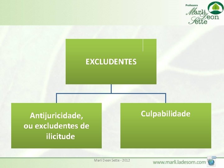 EXCLUDENTES Culpabilidade Antijuricidade, ou excludentes de ilicitude Marli Deon Sette - 2012 35 