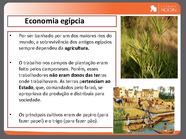 Economia egípcia • Por ser banhado por um dos maiores rios do mundo, a