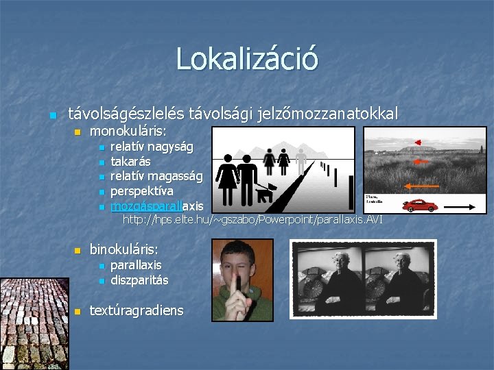 Lokalizáció n távolságészlelés távolsági jelzőmozzanatokkal n monokuláris: n n n relatív nagyság takarás relatív Lokalizáció n távolságészlelés távolsági jelzőmozzanatokkal n monokuláris: n n n relatív nagyság takarás relatív