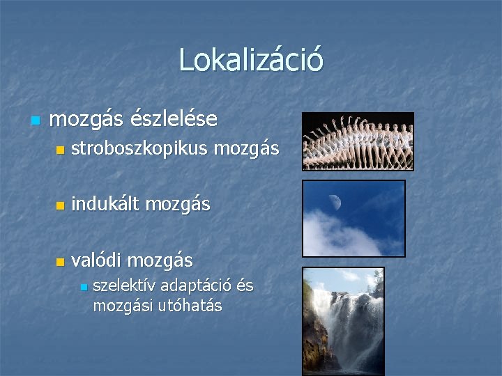 Lokalizáció n mozgás észlelése n stroboszkopikus mozgás n indukált mozgás n valódi mozgás n Lokalizáció n mozgás észlelése n stroboszkopikus mozgás n indukált mozgás n valódi mozgás n
