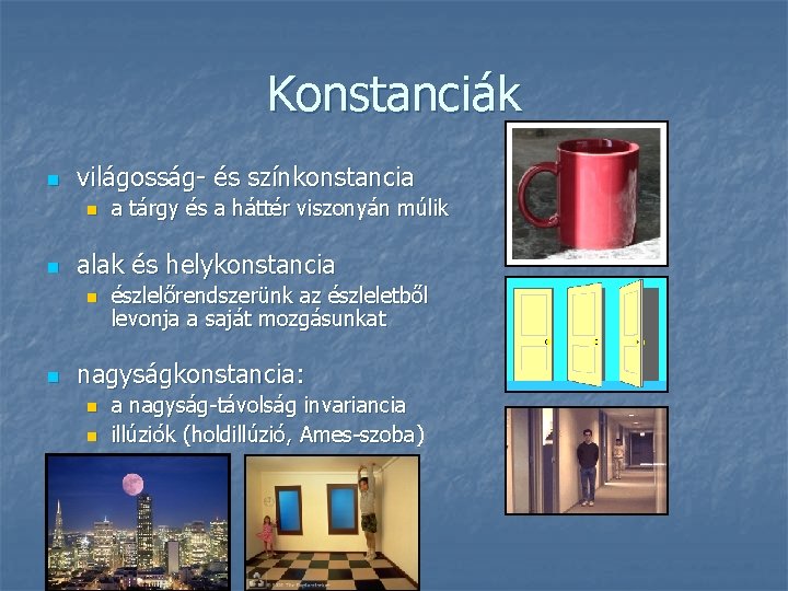 Konstanciák n világosság- és színkonstancia n n alak és helykonstancia n n a tárgy Konstanciák n világosság- és színkonstancia n n alak és helykonstancia n n a tárgy