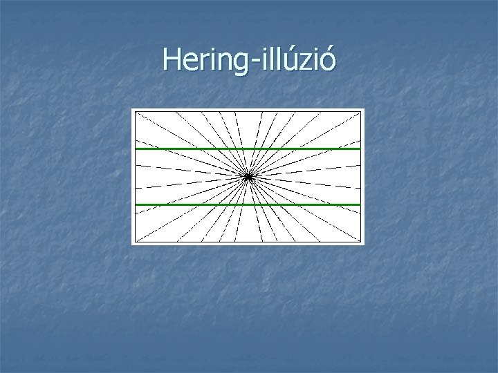 Hering-illúzió Hering-illúzió