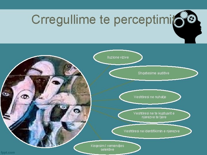 Crregullime te perceptimit Iluzione vizive Shqetesime auditive Veshtiresi ne nuhatje Veshtiresi ne te kuptuarit