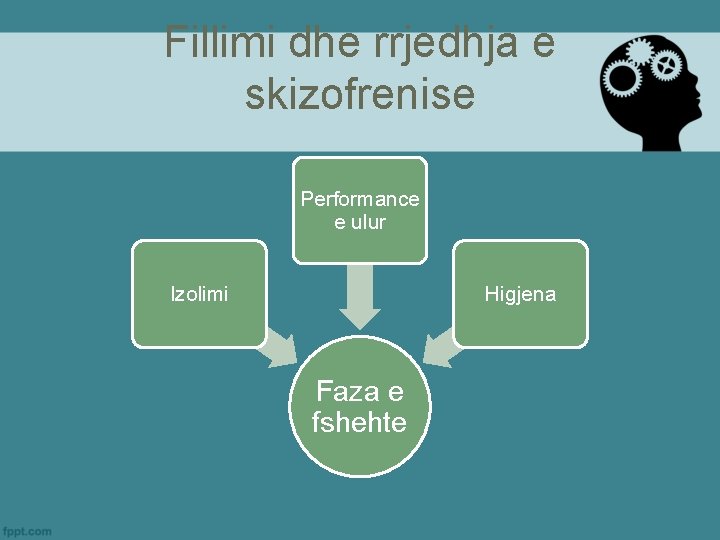 Fillimi dhe rrjedhja e skizofrenise Performance e ulur Izolimi Higjena Faza e fshehte 