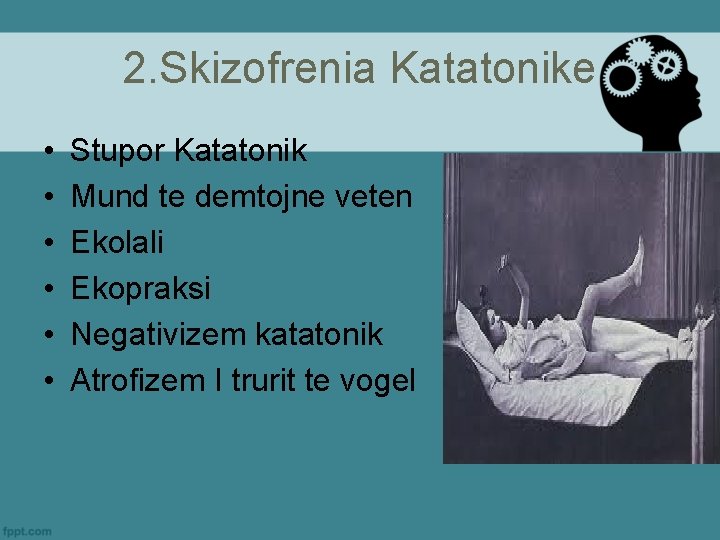 2. Skizofrenia Katatonike • • • Stupor Katatonik Mund te demtojne veten Ekolali Ekopraksi