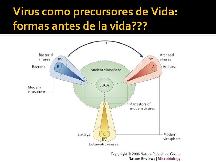 Virus como precursores de Vida: formas antes de la vida? ? ? 