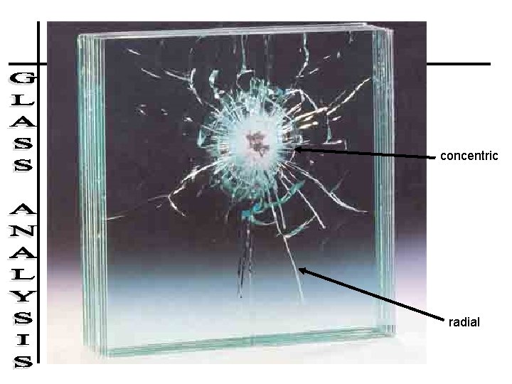 concentric radial concentric radial