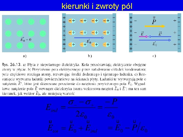 kierunki i zwroty pól 