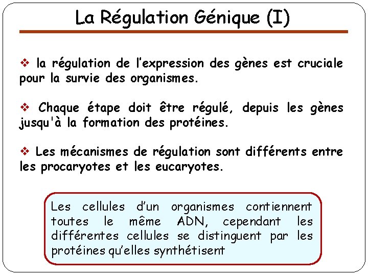 La Régulation Génique (I) v la régulation de l’expression des gènes est cruciale pour