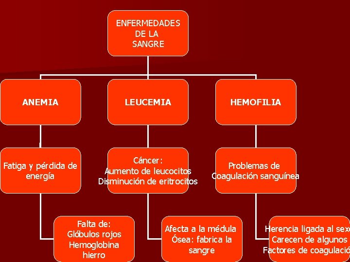 ENFERMEDADES DE LA SANGRE ANEMIA LEUCEMIA HEMOFILIA Fatiga y pérdida de energía Cáncer: Aumento