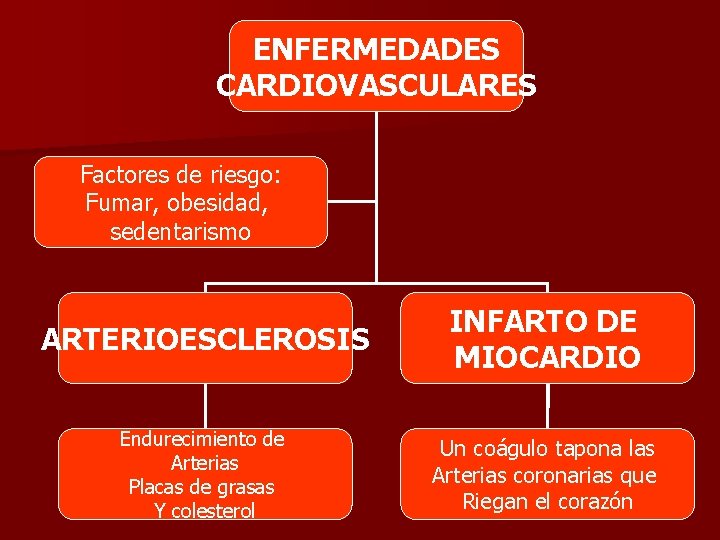 ENFERMEDADES CARDIOVASCULARES Factores de riesgo: Fumar, obesidad, sedentarismo ARTERIOESCLEROSIS INFARTO DE MIOCARDIO Endurecimiento de
