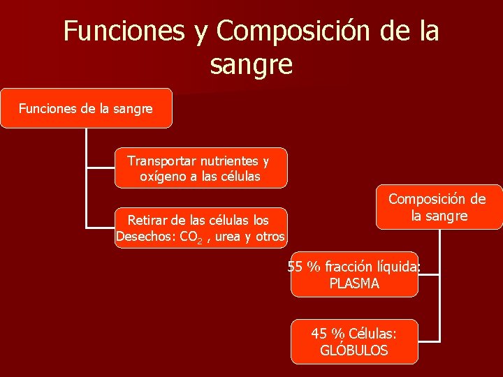 Funciones y Composición de la sangre Funciones de la sangre Transportar nutrientes y oxígeno