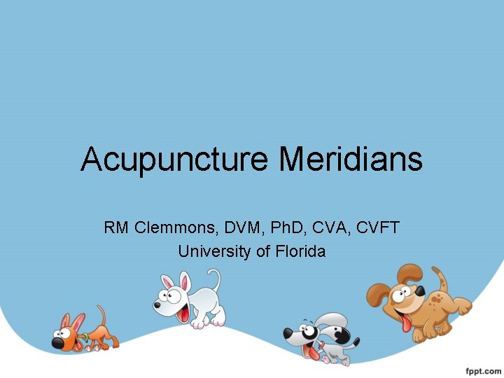 Acupuncture Meridians RM Clemmons, DVM, Ph. D, CVA, CVFT University of Florida 