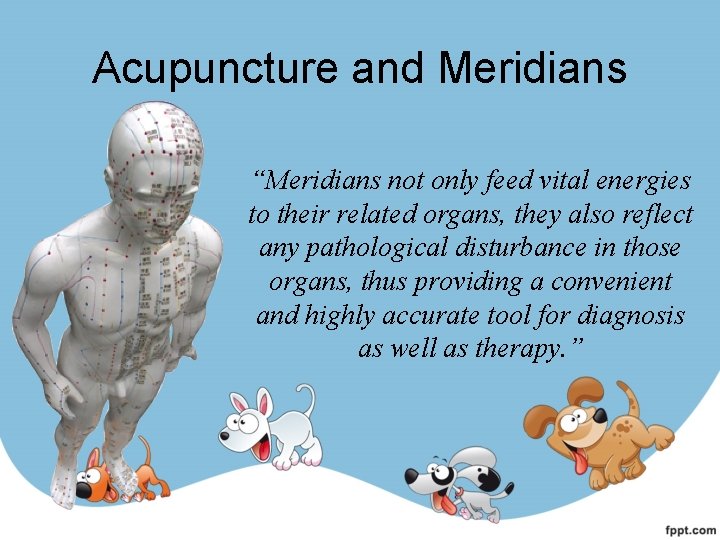 Acupuncture and Meridians “Meridians not only feed vital energies to their related organs, they