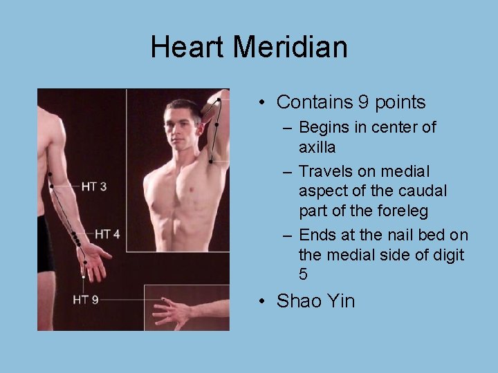 Heart Meridian • Contains 9 points – Begins in center of axilla – Travels