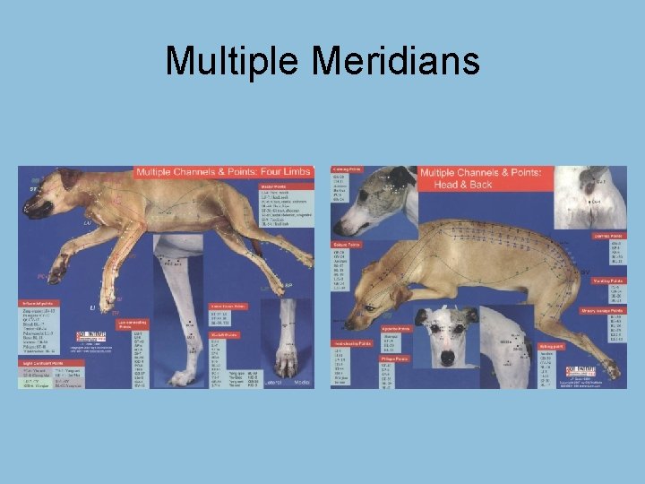 Multiple Meridians 