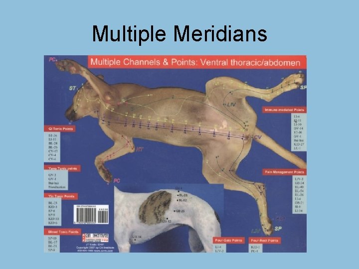 Multiple Meridians 