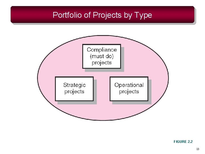 Portfolio of Projects by Type FIGURE 2. 2 13 Portfolio of Projects by Type FIGURE 2. 2 13