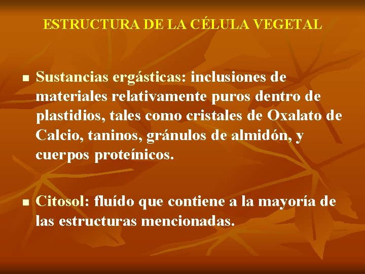 ESTRUCTURA DE LA CÉLULA VEGETAL n n Sustancias ergásticas: inclusiones de materiales relativamente puros