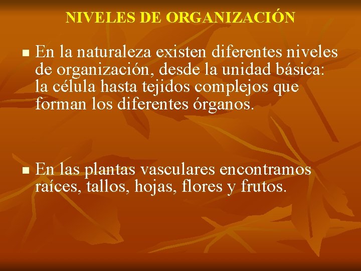 NIVELES DE ORGANIZACIÓN n n En la naturaleza existen diferentes niveles de organización, desde