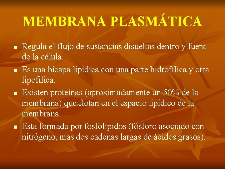 MEMBRANA PLASMÁTICA n n Regula el flujo de sustancias disueltas dentro y fuera de